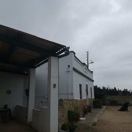 Casa Rural Masia D'En Gall L'Aldea Екстер'єр фото